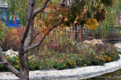 户外公园无线覆盖解决方案